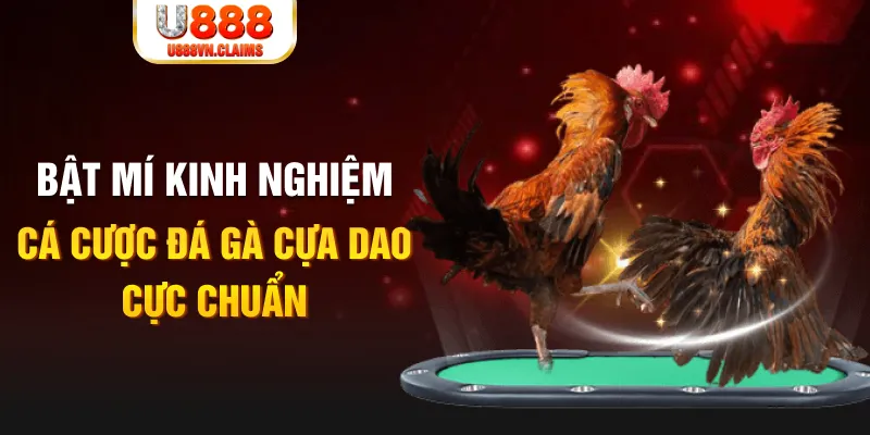 kv999 casino hồ tràm có cho người việt vào không