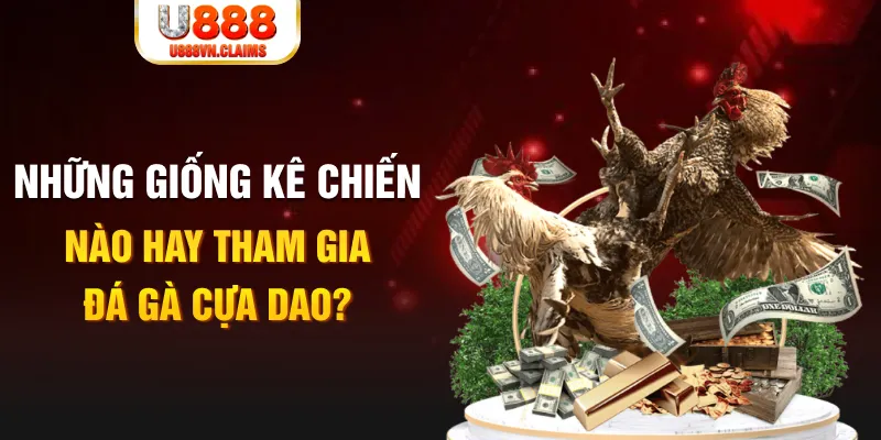 kv999 BG Trực Tuyến