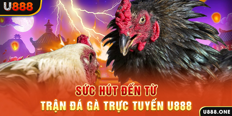 kv999 đăng nhập poker 2024