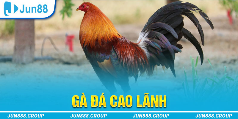 kv999 tai game vua bai ve may tinh