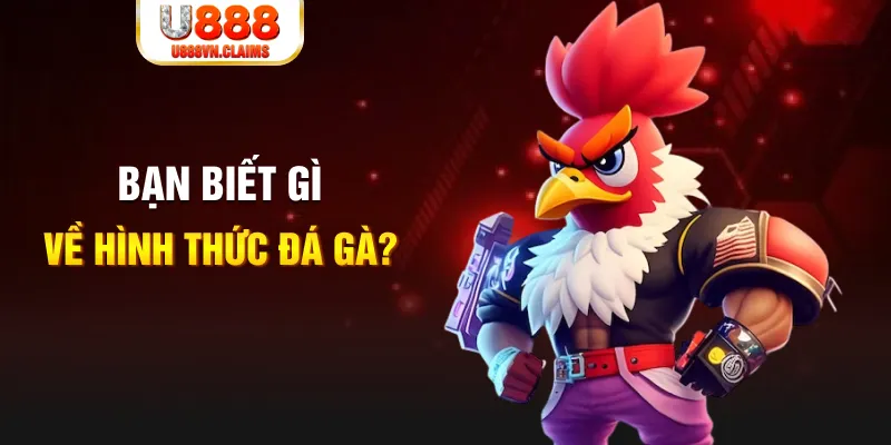 kv999 đăng nhập liêng tặng tiền
