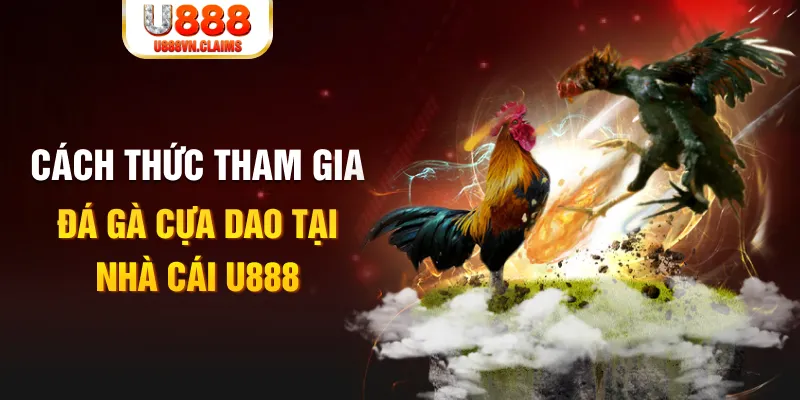 kv999 đá gà 88.com