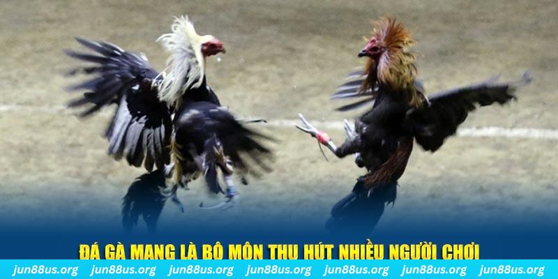 kv999 đăng nhập sòng bạc số 1