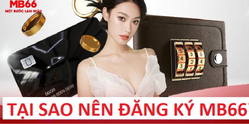 kv999 trực tiếp gà chọi c1