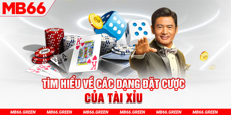 kv999 what is a casino loyalty program