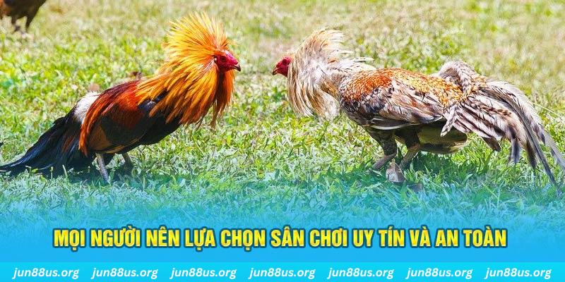 kv999 đăng nhập poker 2025