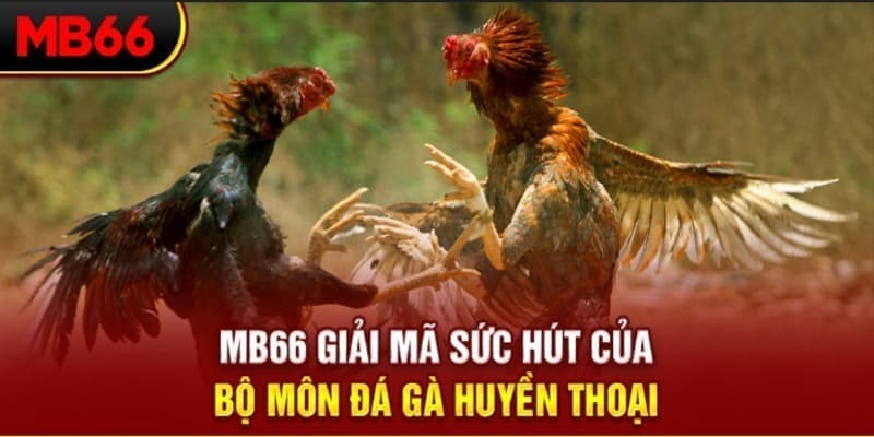 kv999 xổ số đài bắc