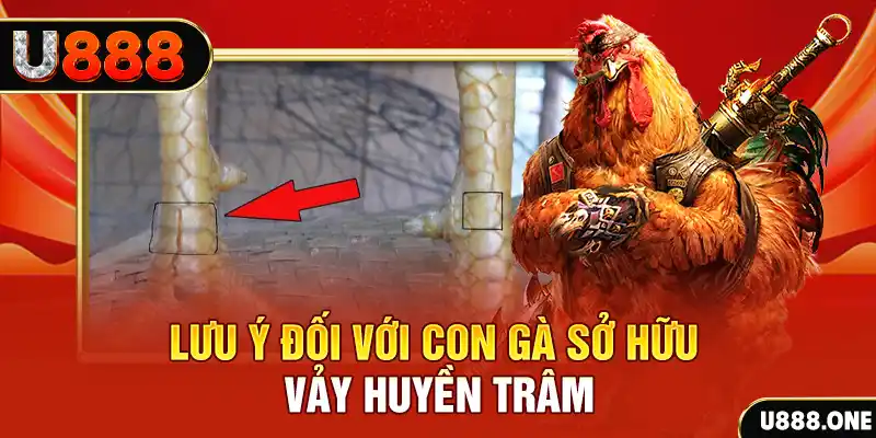 kv999 tải game đánh bài tiến lên miền nam về máy tính