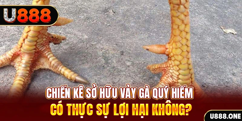 kv999 xổ số miền trung