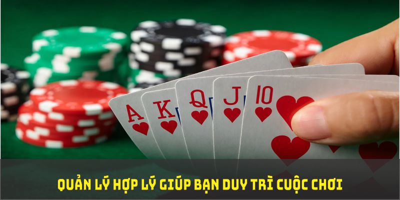 kv999 đá gà trực tiếp thomo 67
