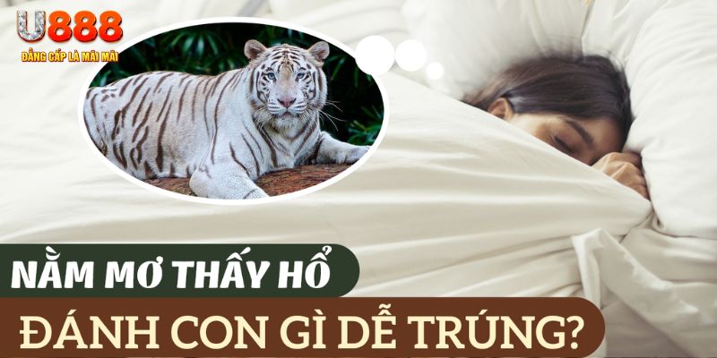 kv999 nohu .mx nổ hủ là gì