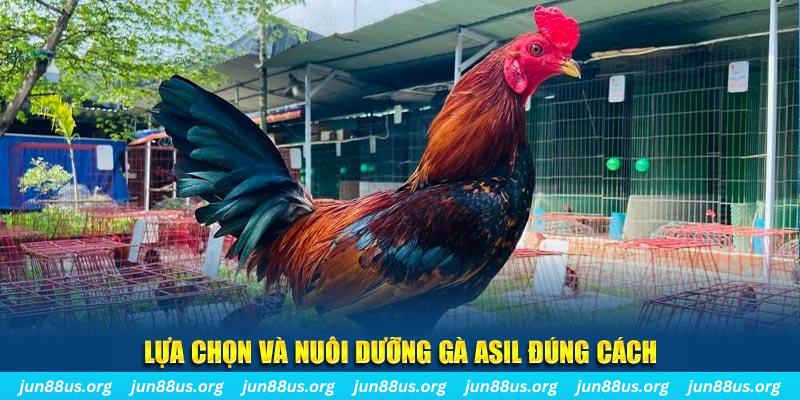 kv999 nổ hũ thần tài là gì