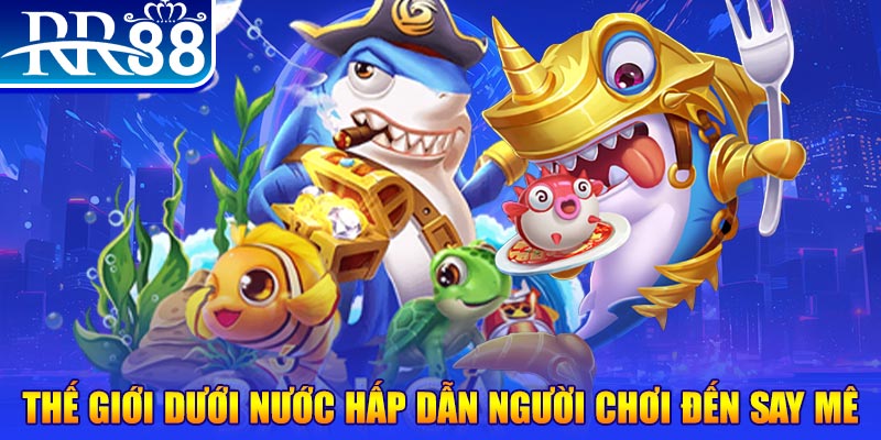 kv999 đăng nhập mậu binh dễ thắng