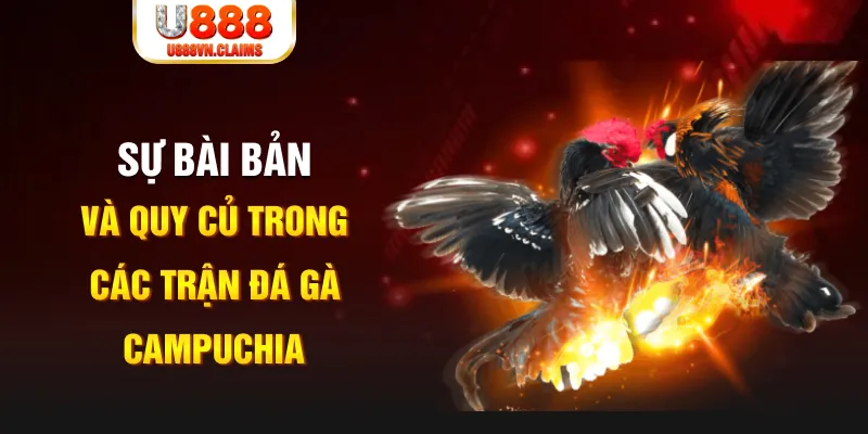 kv999 game xếp bài trên máy tính