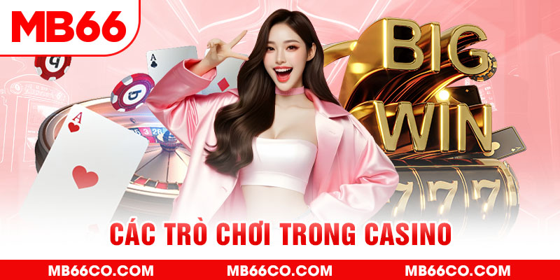 kv999 chổi lông gà