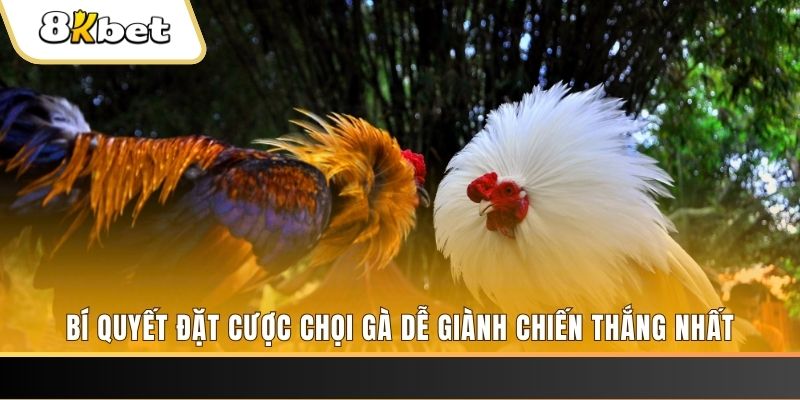 kv999 nổ hũ chơi như thế nào