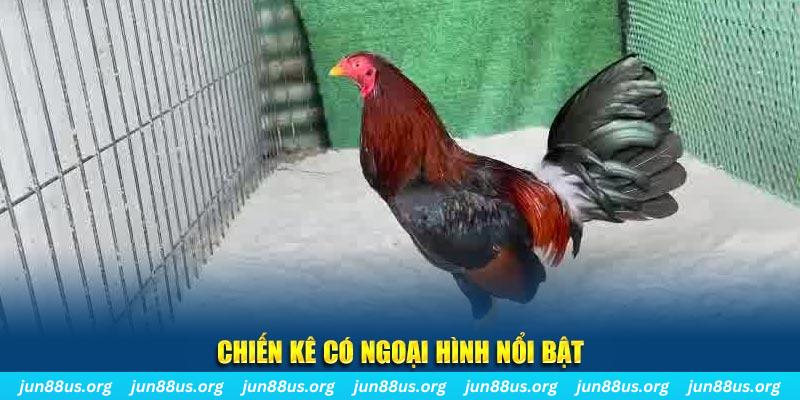 kv999 qq88 bắn cá