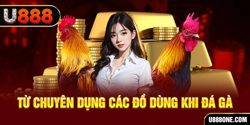 kv999 đăng nhập poker trực tiếp