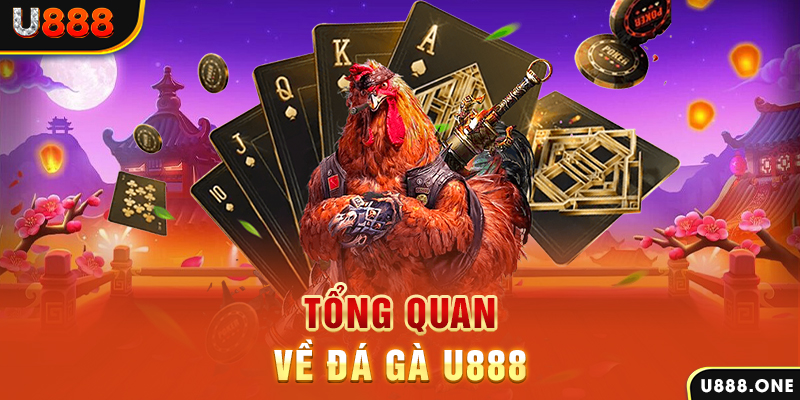 kv999 xổ số vietlott