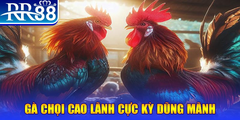 kv999 đăng nhập poker live